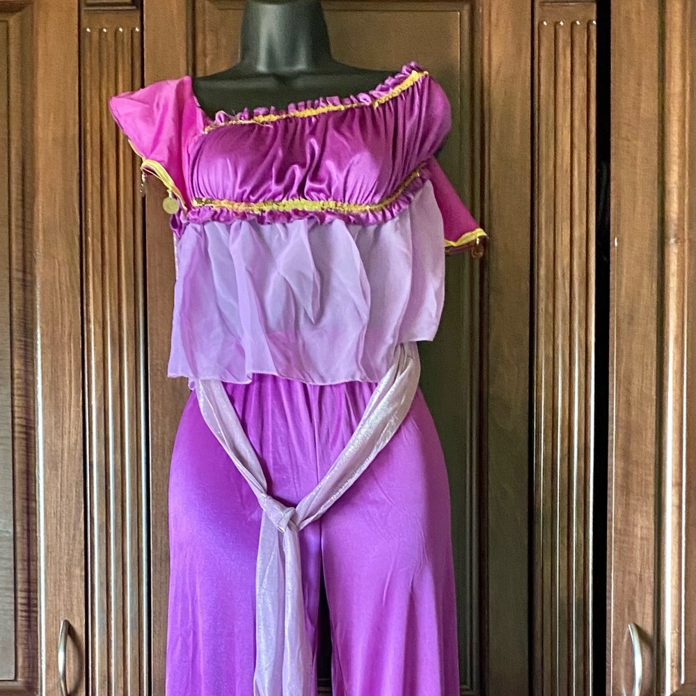 Belly Dancing Costume size large - Picture 2 of 5